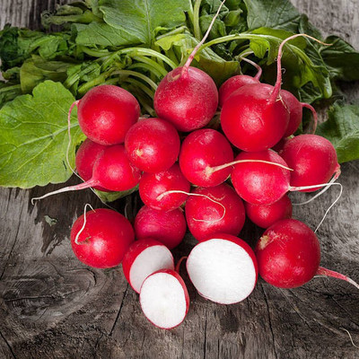 sporos RED ROUND RADISH Seed(20 per packet)