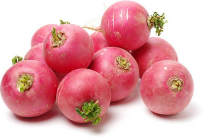 sporos RED ROUND RADISH Seed(20 per packet)