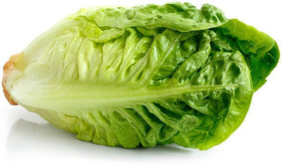 sporos LETTUCE Seed(20 per packet)