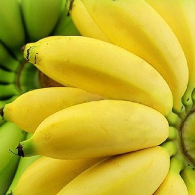 Nema Rare Exotic Dwarf Banana Seed(100 per packet)