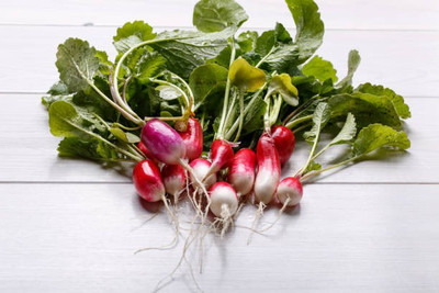 sporos RADISH BREAKFAST Seed(25 per packet)