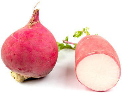 sporos RED ROUND RADISH Seed(20 per packet)