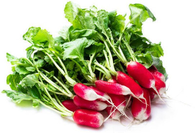 sporos RADISH BREAKFAST Seed(20 per packet)