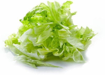 sporos LETTUCE Seed(20 per packet)
