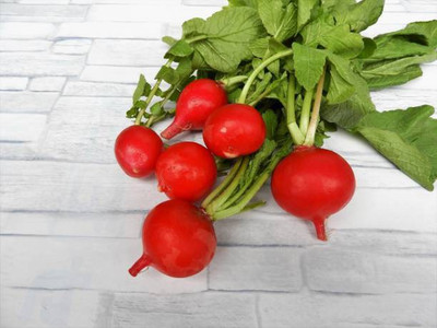 sporos RED ROUND RADISH Seed(20 per packet)