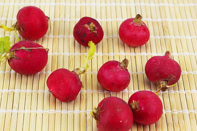 sporos RED ROUND RADISH Seed(20 per packet)