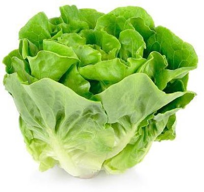 sporos LETTUCE Seed(25 per packet)