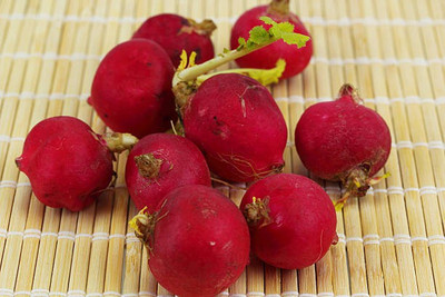 sporos RED ROUND RADISH Seed(20 per packet)