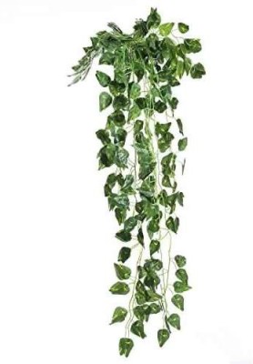 well art gallery Artificial Wall Hanging Money Plant Bail Home, Theme Décor (6.5 Feet) Pack of 1 Artificial Plant(5 cm, Green)