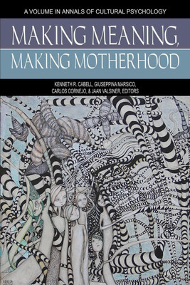 Making Meaning, Making Motherhood(English, Paperback, unknown)