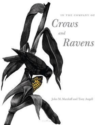 In the Company of Crows and Ravens(English, Paperback, Marzluff John M.)