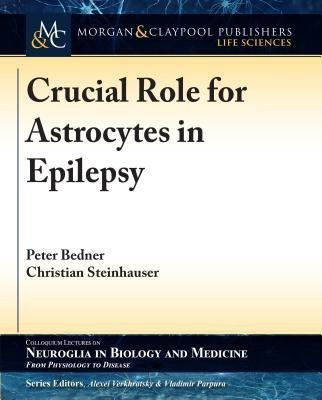Crucial Role for Astrocytes in Epilepsy(English, Paperback, Bedner Peter)