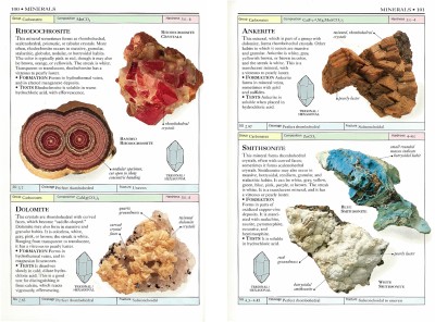 Rocks and Minerals(English, Paperback, Pellant Chris)