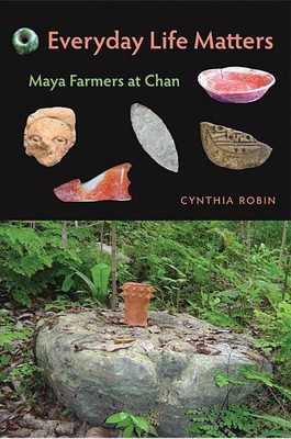 Everyday Life Matters(English, Paperback, Robin Cynthia)