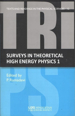 Surveys in Theoretical High Energy Physics-2(English, Paperback, unknown)