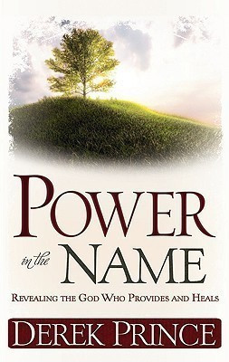 The Power in the Name(English, Paperback, Prince Derek)