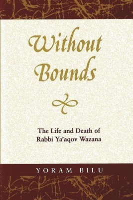 Without Bounds(English, Paperback, Bilu Yoram)