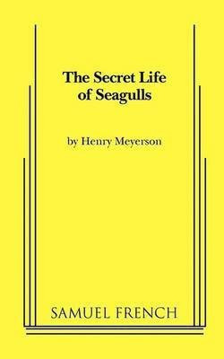 The Secret Life of Seagulls(English, Paperback, Meyerson Henry)