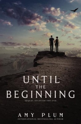 Until The Beginning(English, Hardcover, Plum Amy)