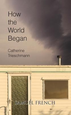 How the World Began(English, Paperback, Trieschmann Catherine)