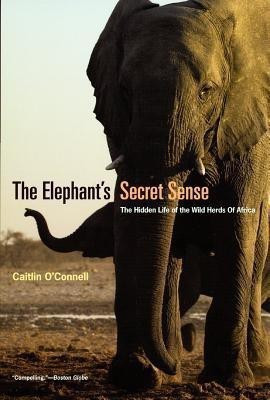 The Elephant`s Secret Sense - The Hidden Life of the Wild Herds of Africa(English, Paperback, O`connell Caitlin)