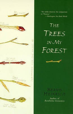 The Trees in My Forest(English, Electronic book text, Heinrich Bernd)