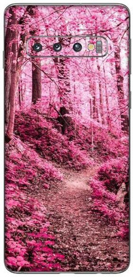 aadia SAMSUNG GALAXY S10 Mobile Skin(Multicolor)