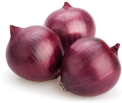 XOLDA Onion Dark Red Seed(50 per packet)