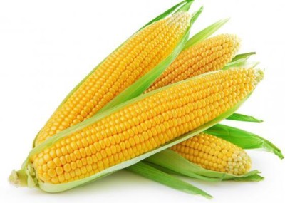 XOLDA Sweet corn Seed(25 per packet)