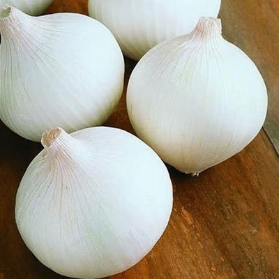 Mozette Hybrid Onion White Seed(65 per packet)