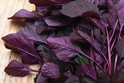 Paudha Red Amaranthus Vegetable Seed(30 per packet)