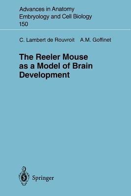 The Reeler Mouse as a Model of Brain Development(English, Paperback, Lambert de Rouvroit Catherine)