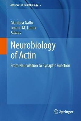 Neurobiology of Actin(English, Paperback, unknown)