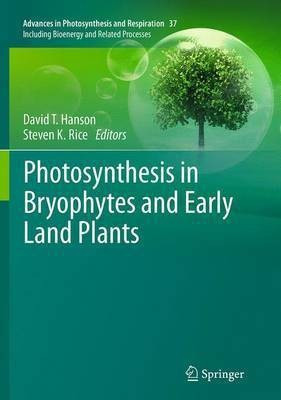 Photosynthesis in Bryophytes and Early Land Plants(English, Paperback, unknown)