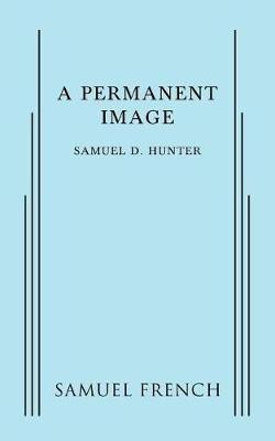 A Permanent Image(English, Paperback, D Hunter Samuel)