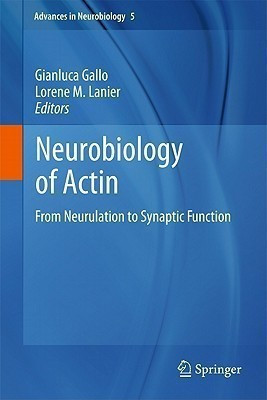 Neurobiology of Actin(English, Hardcover, unknown)