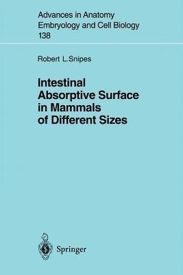 Intestinal Absorptive Surface in Mammals of Different Sizes(English, Paperback, Snipes Robert L.)