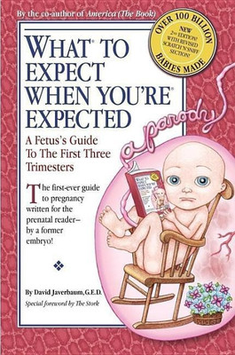 What to Expect When You're Expected(English, Paperback, Javerbaum David)