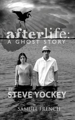 Afterlife(English, Paperback, Yockey Steve)