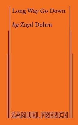 Long Way Go Down(English, Paperback, Dohrn Zayd)