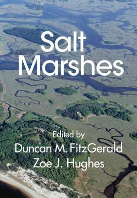 Salt Marshes(English, Hardcover, unknown)