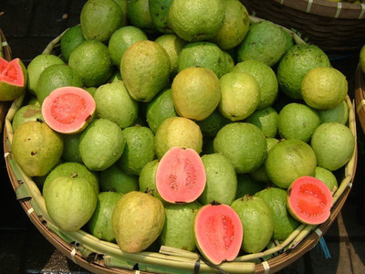 XOLDA Guava Hybrid Seed(40 per packet)