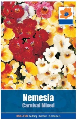 VibeX Nemesia Seed(25 per packet)