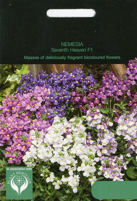 VibeX Nemesia Seed(30 per packet)