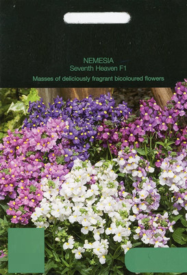 VibeX Nemesia Seed(120 per packet)
