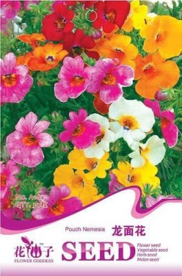 VibeX NEMESIA Seed(75 per packet)