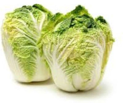 sporos CHINES CABBAGE Seed(25 per packet)