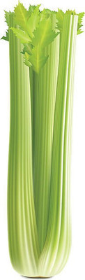 sporos CELERY Seed(25 per packet)