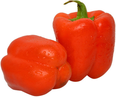 USTAR (IND 26) BEST QUALITY HYBRID HIGH PRODUCTION F1 CAPSICUM MIX SEED OF CAPSICUM HIGH IN TASTE ( SHIMLA MIRCH) SEEDS Seed(200 per packet)
