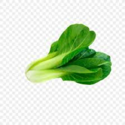 sporos CHINES CABBAGE Seed(25 per packet)